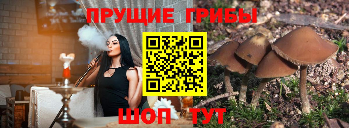 Псилоцибиновые грибы прущие грибы  Вход с VPN  Кашира 
